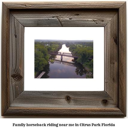 family horseback riding near me in Citrus Park, Florida